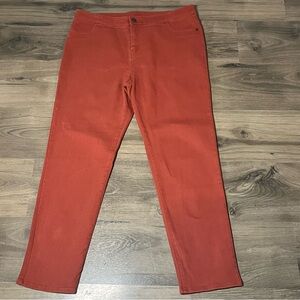 Belle Gray by Lisa Rinna Women’s Rust Skinny Jeans Size 16 | Stretch Denim Pants